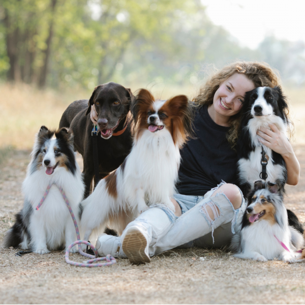 IAA livello base: coadiutore del cane e altri animali d'affezione, corso di formazione